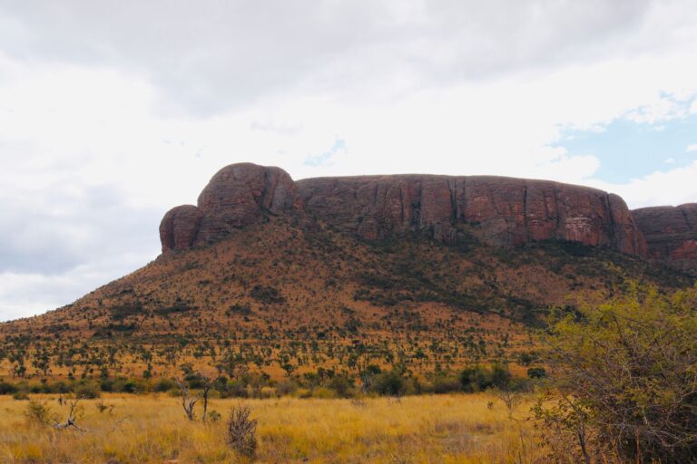 Botswana – Heen en terug door het bushveld